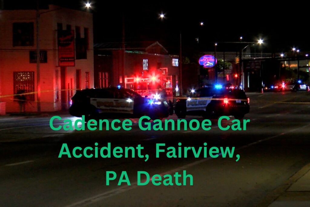 Cadence Gannoe Car Accident, Fairview, PA Death